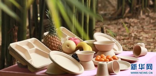 七十二變，竹產業拔節向上——環?？萍假x能傳統產業煥新